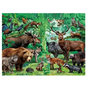 Double Sided 100 Piece Learning Educational Jigsaw Puzzles